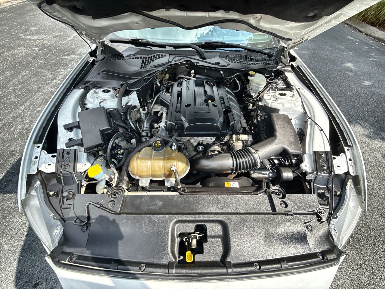 2016 Ford Mustang EcoBoost photo 11