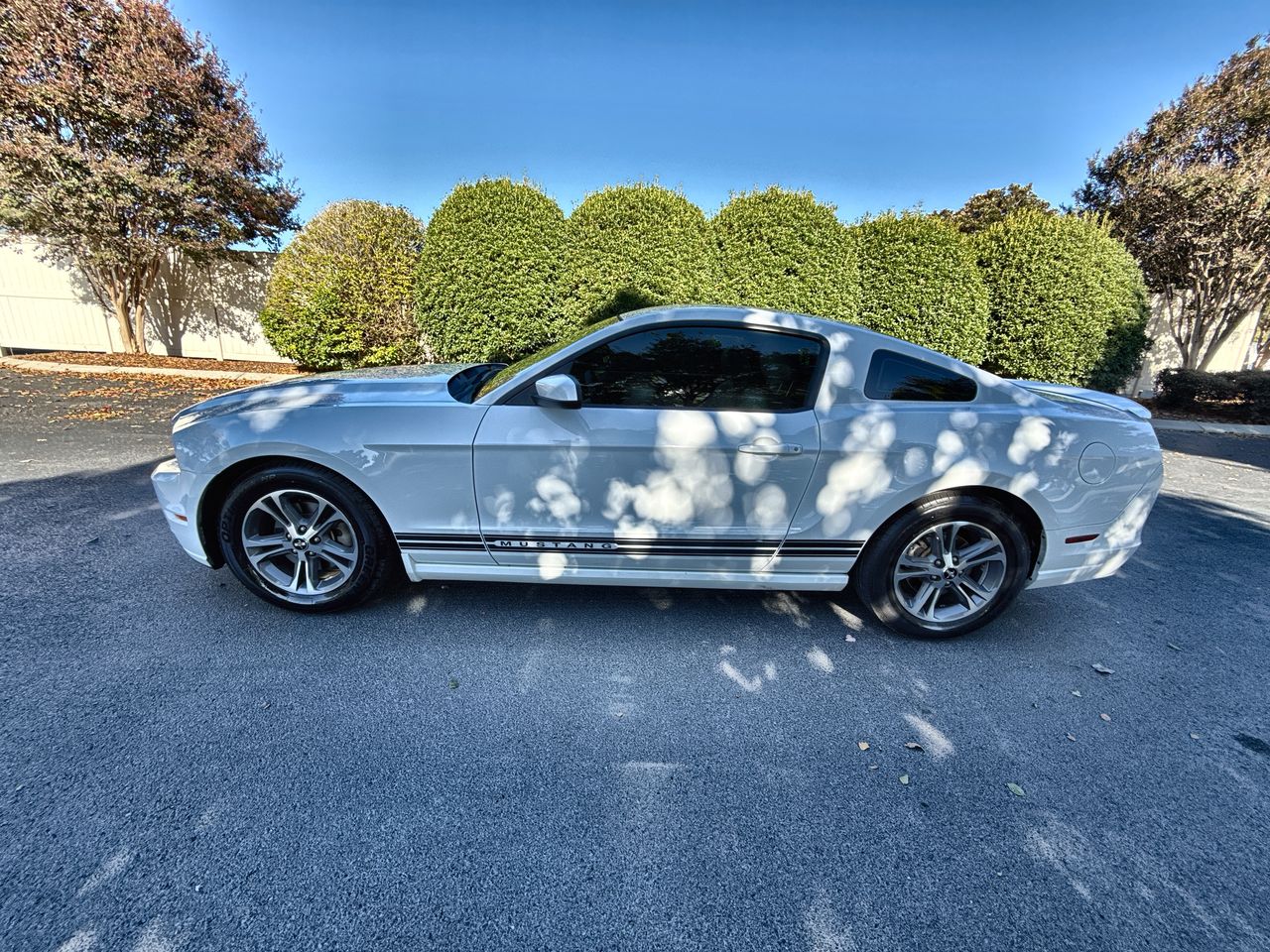 2014 Ford Mustang V6's photo
