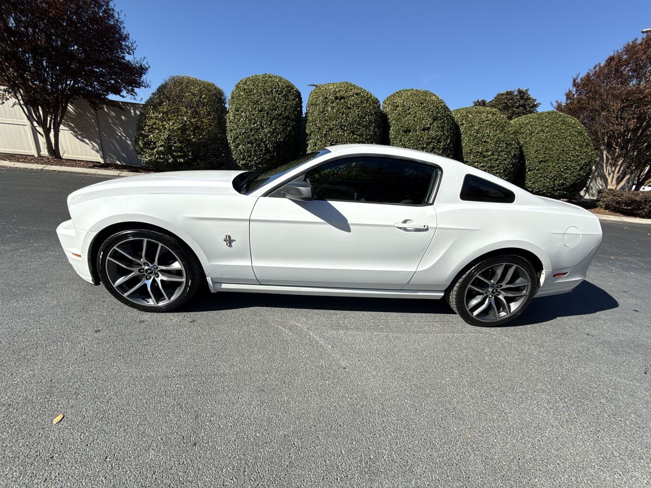 2014 Ford Mustang V6's photo