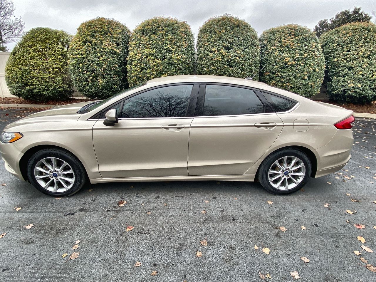 2017 Ford Fusion SE's photo