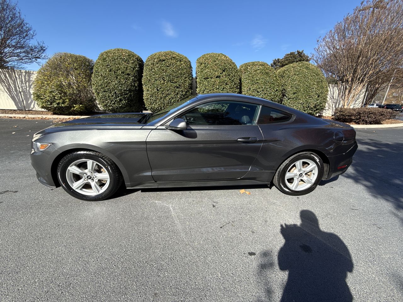 2015 Ford Mustang EcoBoost's photo