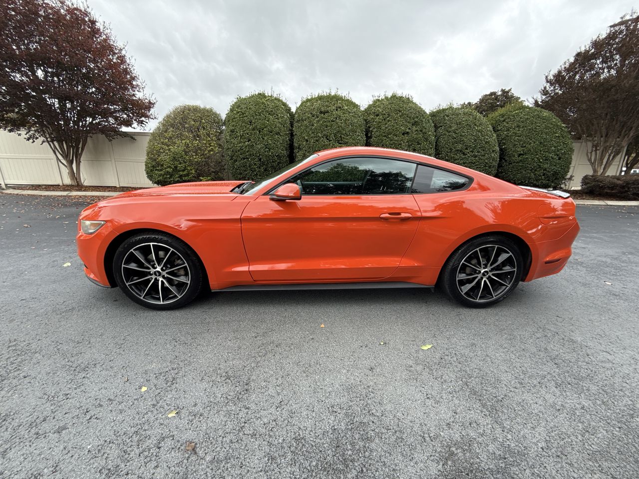 2016 Ford Mustang EcoBoost's photo