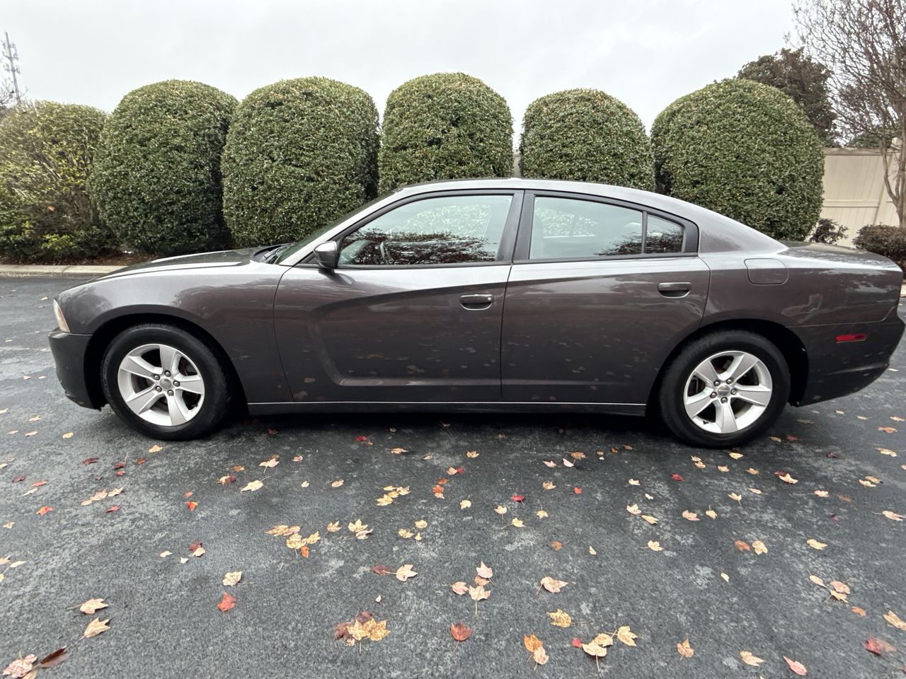 2013 Dodge Charger SE's photo