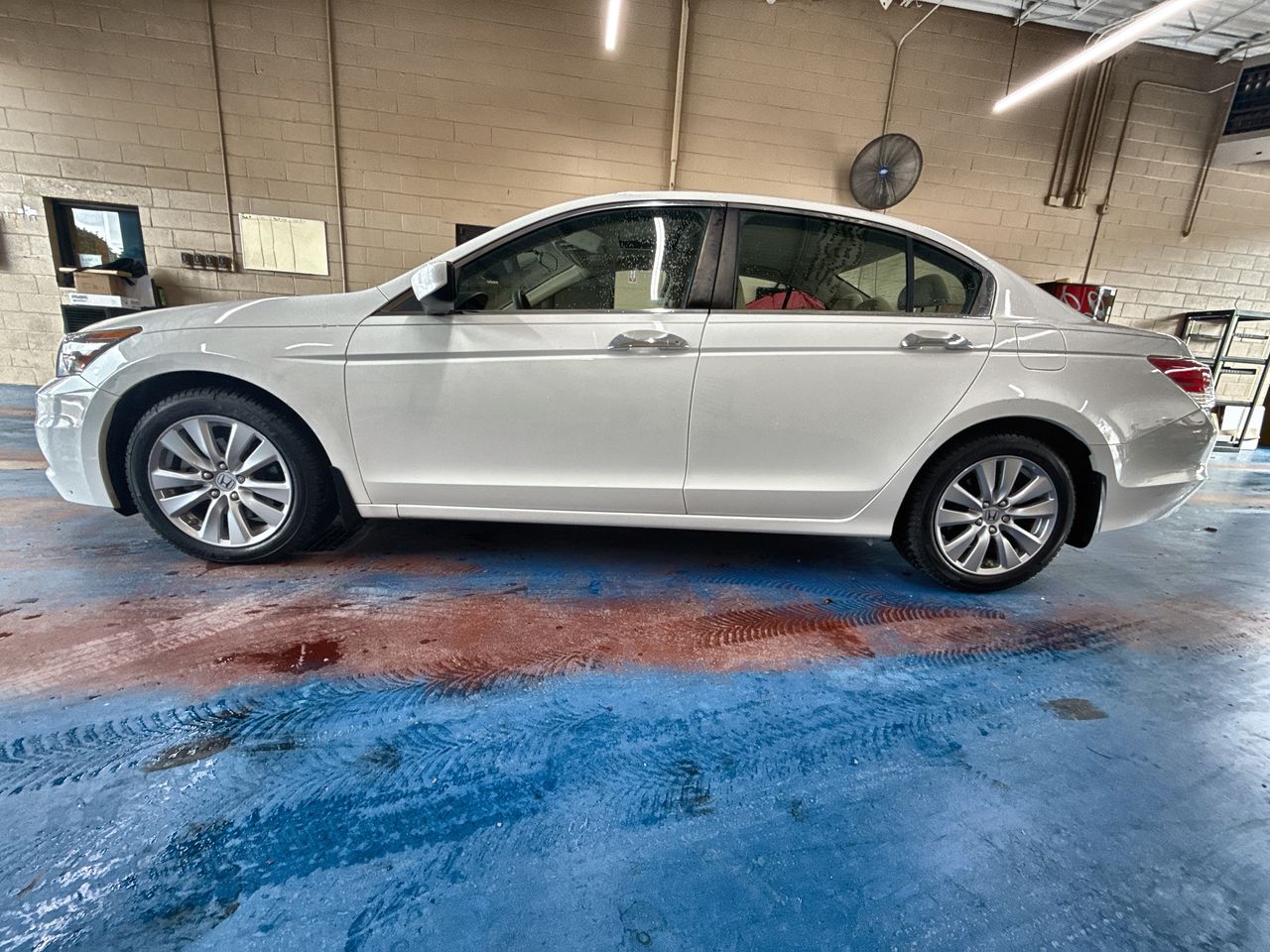 2012 Honda Accord EX V6's photo