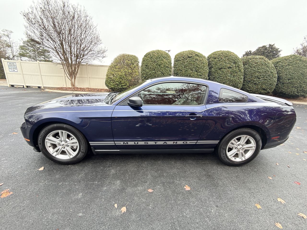 2012 Ford Mustang V6's photo
