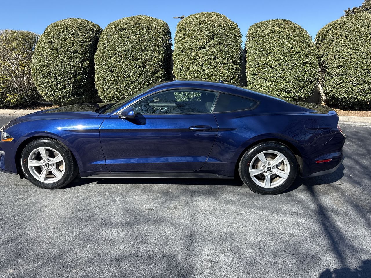 2020 Ford Mustang EcoBoost Coupe's photo
