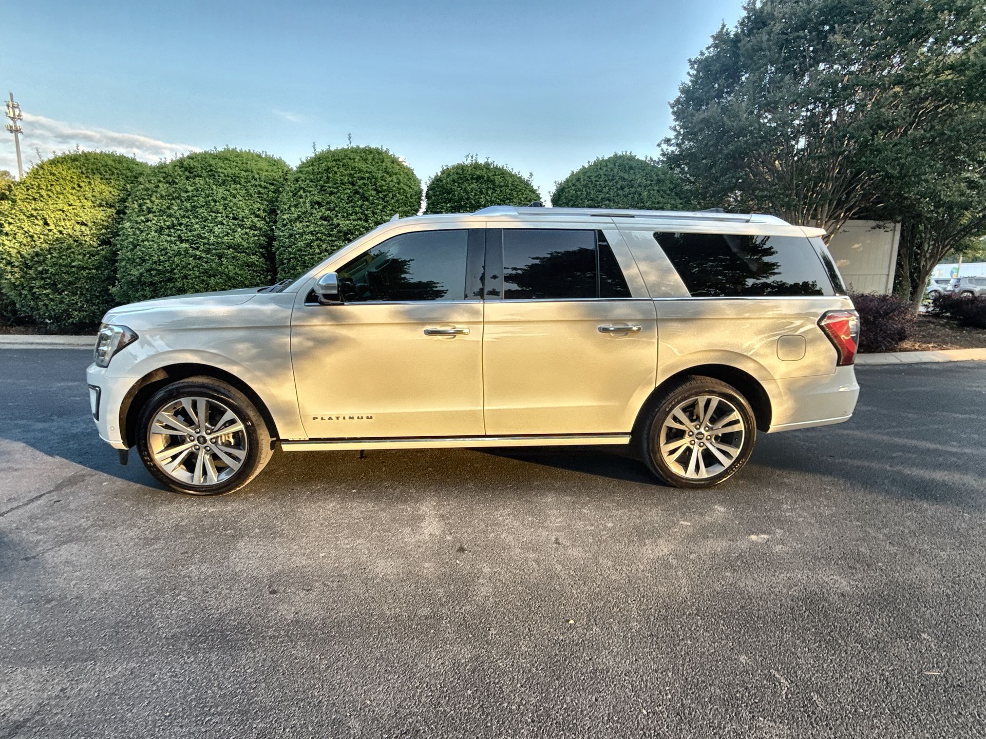 2020 Ford Expedition Platinum MAX's photo